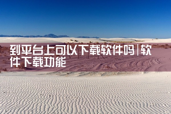 到平台上可以下载软件吗