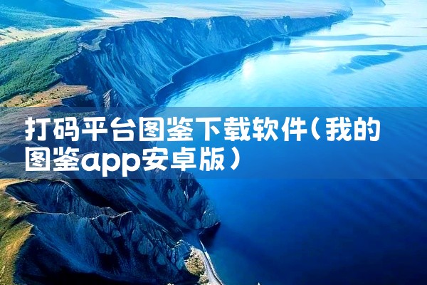 打码平台图鉴下载软件