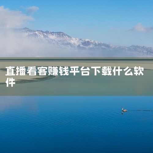 成为直播人的app有抖音、快手、bilibili、映客、YY、斗鱼、虎牙、小红书等。抖音和快手作为国内最流行的短视频平台，不仅为用户提供了观看短视频的娱乐方式，同时也为众多内容创作者提供了展现自我的舞,