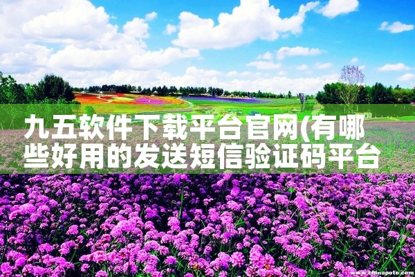 九五软件下载平台官网