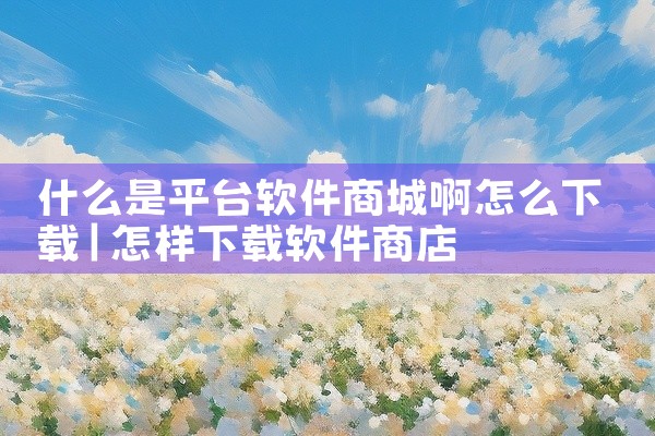 什么是平台软件商城啊怎么下载