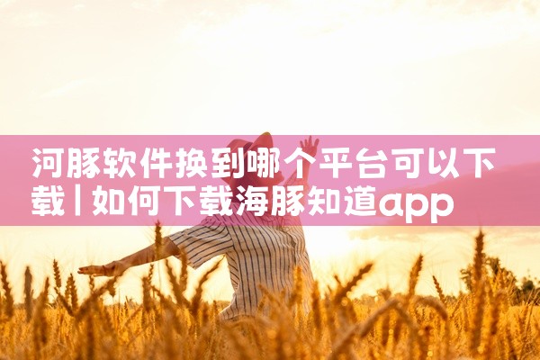 河豚软件换到哪个平台可以下载