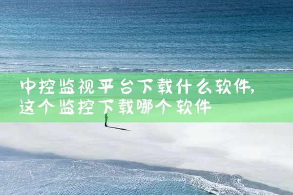 中控监视平台下载什么软件