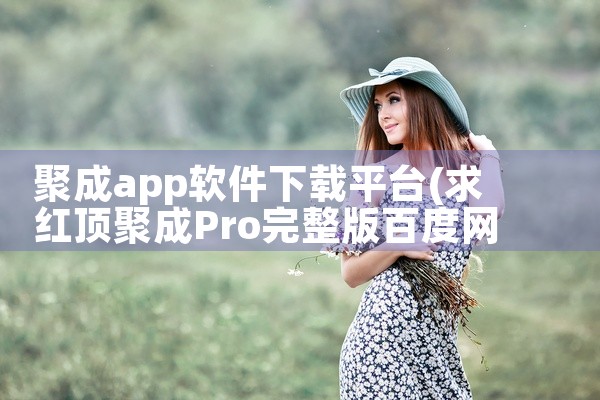 聚成app软件下载平台