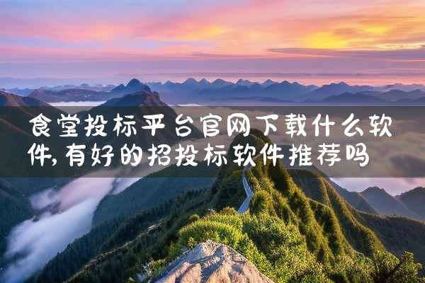 食堂投标平台官网下载什么软件